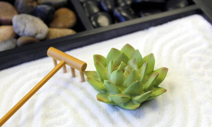 Nature's Mark Mini Zen Garden Kit for Desk with Rake, White Sand, Lotus Figure, 3 Sections Black