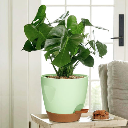 Uneed Indoor Self Watering Planters with Drainage Holes and Saucers, 7/6.5/6/5.5/5 Inch-5 Pots,for