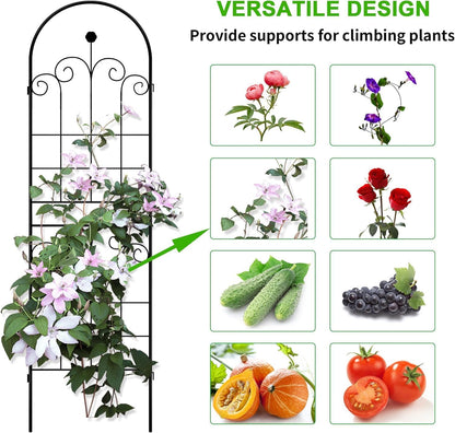 LZRS 2 Pack 71x20in Rustic Iron Arch Decoration Garden Trellis with Black Metal Coating – Perfect