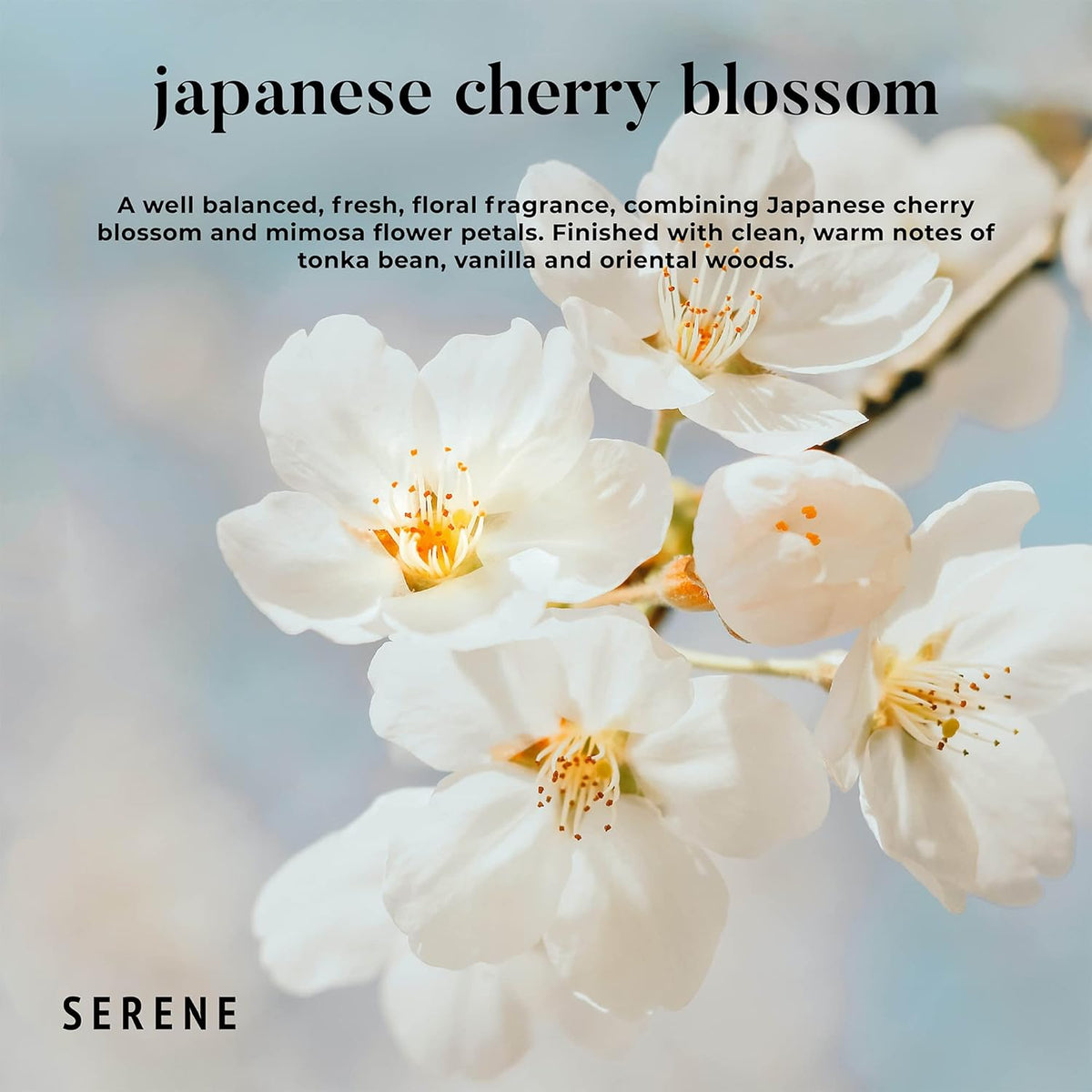 Hidden Label Large Scented Candle, Japanese Cherry Blossom, 30oz 3 Wick Huge Candle, Serene