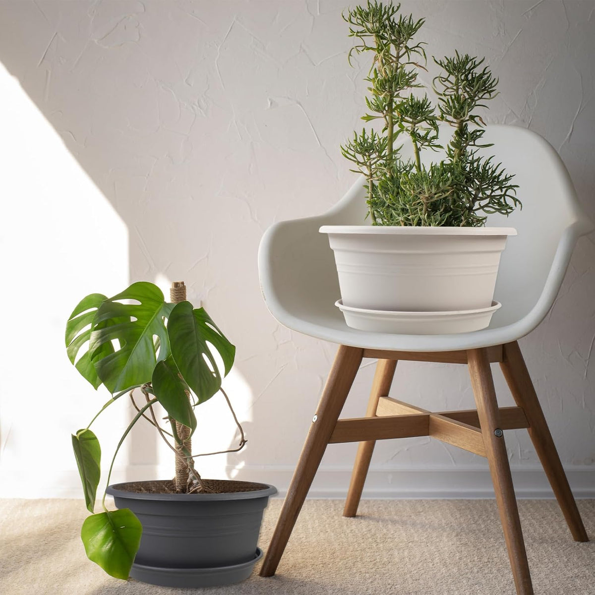 6 Pack 10 inch Plant Pot, Round Plastic Plant Pots, Outdoor Pots for Plants with Drainage Hole &