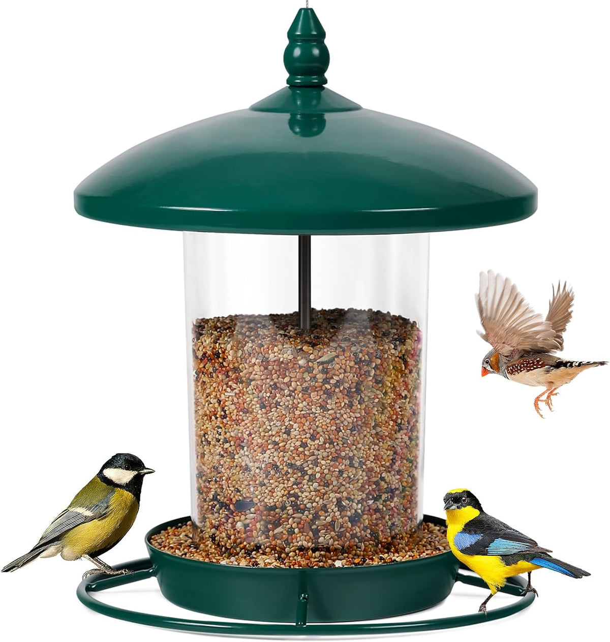 Metal Bird Feeder for Outdoors Hanging,3.0LB Seed Feeder,Easy to Fill & Clean,360° Feeding,Chew
