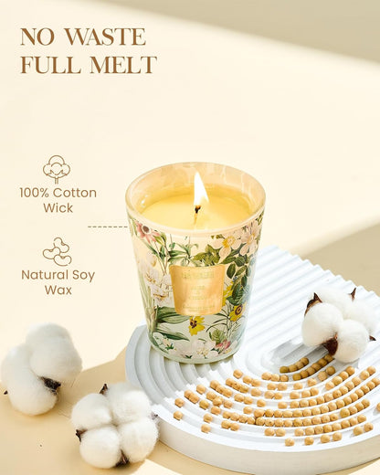 M&SENSE Sage Citrus Scented Natural Soy Wax Candle, 14.1oz 60 Hours Long Lasting Slow Burning
