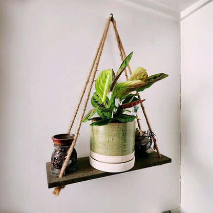 6 Inch Plant Pots, Ceramic Planter Pot with Drainage Hole & Saucer, Indoor/Outdoor Cylinder Round