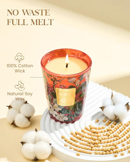 M&SENSE Wild Cherry Scented Candle, Natural Soy Wax Candles 14.1oz 60H Slow Burning Non Toxic