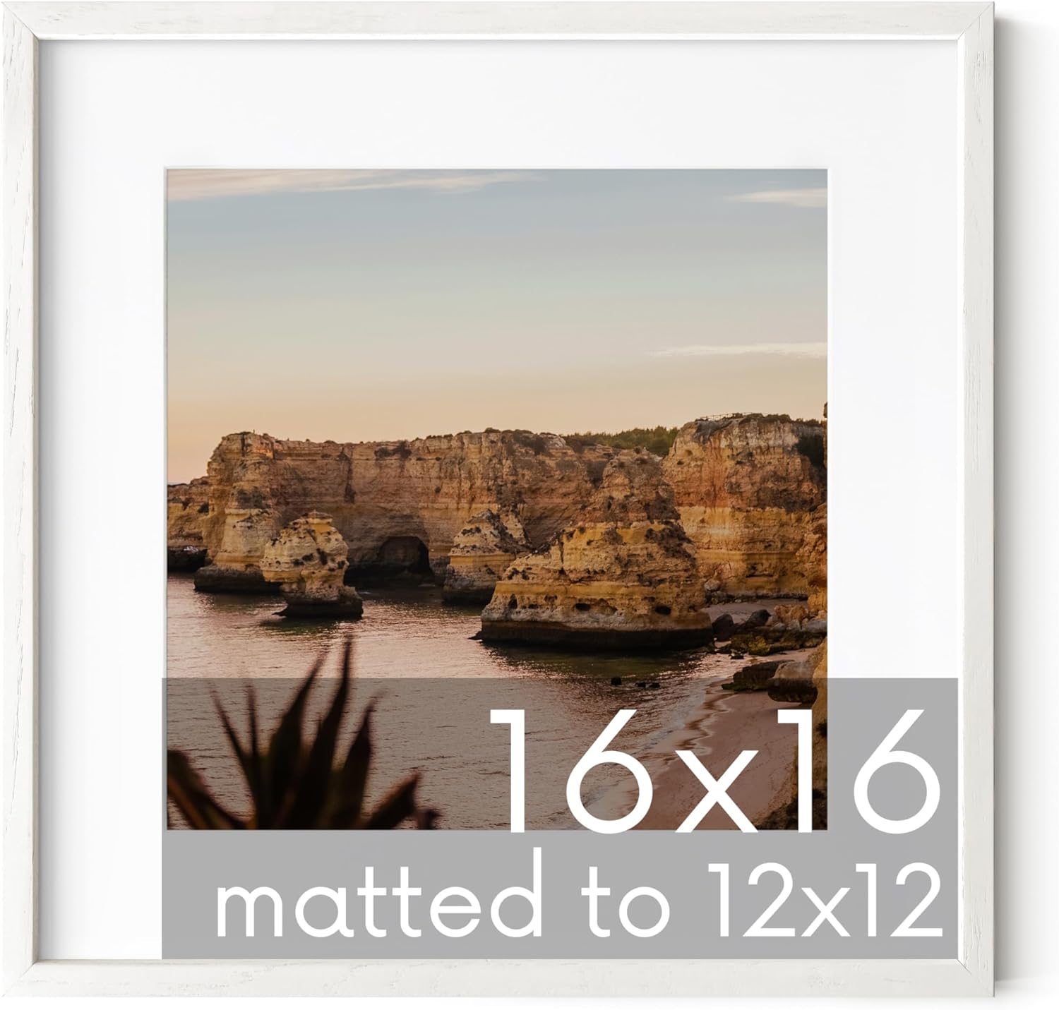 HAUS AND HUES Solid Oak 16”x16” Picture Frame Matted to 12”x12” - 16X16 Square Picture Frame with