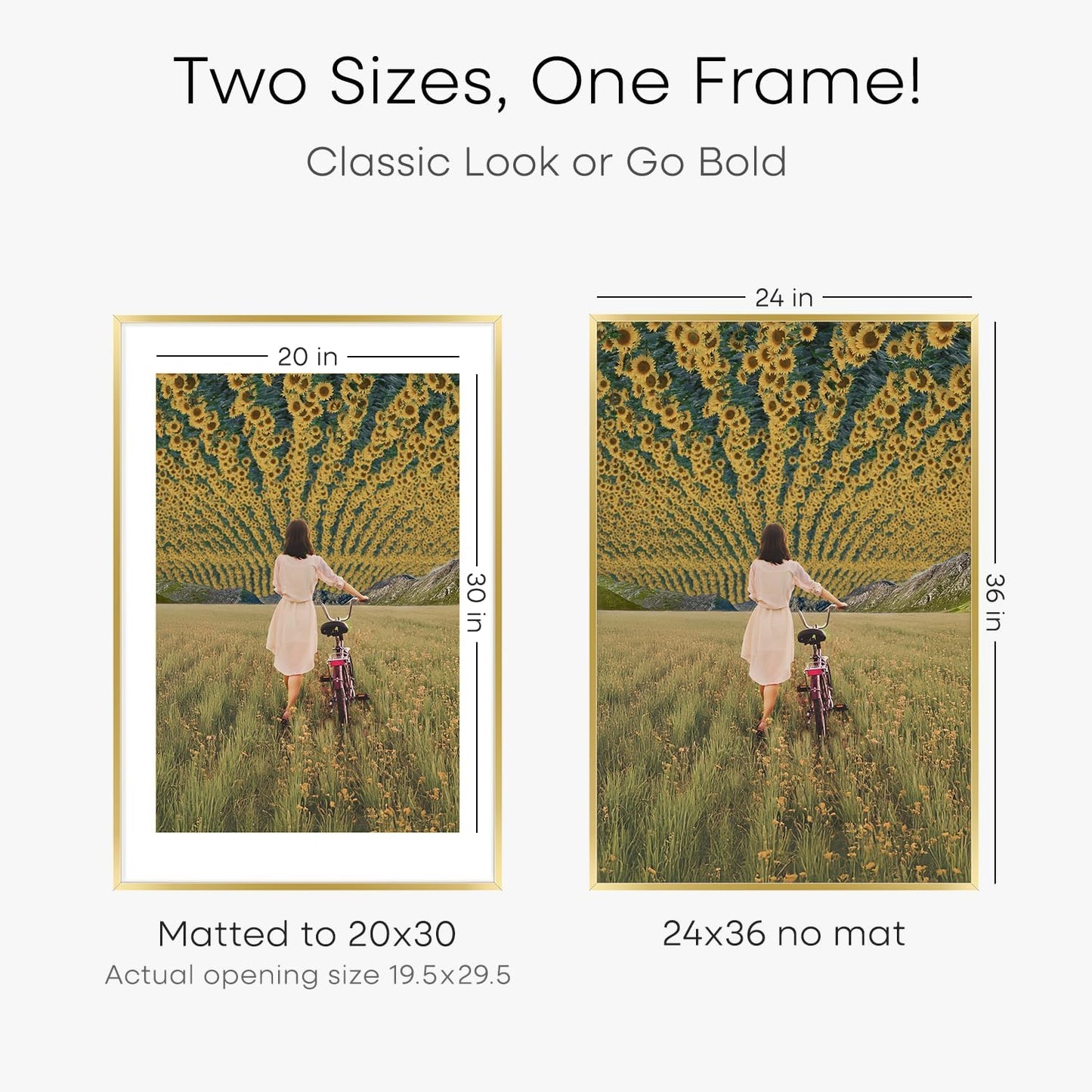Homeforia 24x36 Gold Picture Frame, High End Metal 24 x 36 Large Poster Frames with Mat 20 by 30