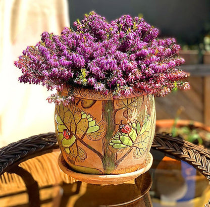 Ceramic Pot with Drainage Hole and Saucer, Plant Pots, Modern Decorative Planters for House Plants
