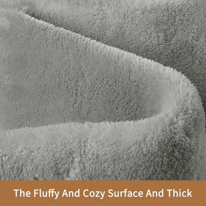 Sour Lemon 9x12 Area Rugs for Living Room, Soft Large Area Rug Fluffy Rugs for Bedroom，Machine