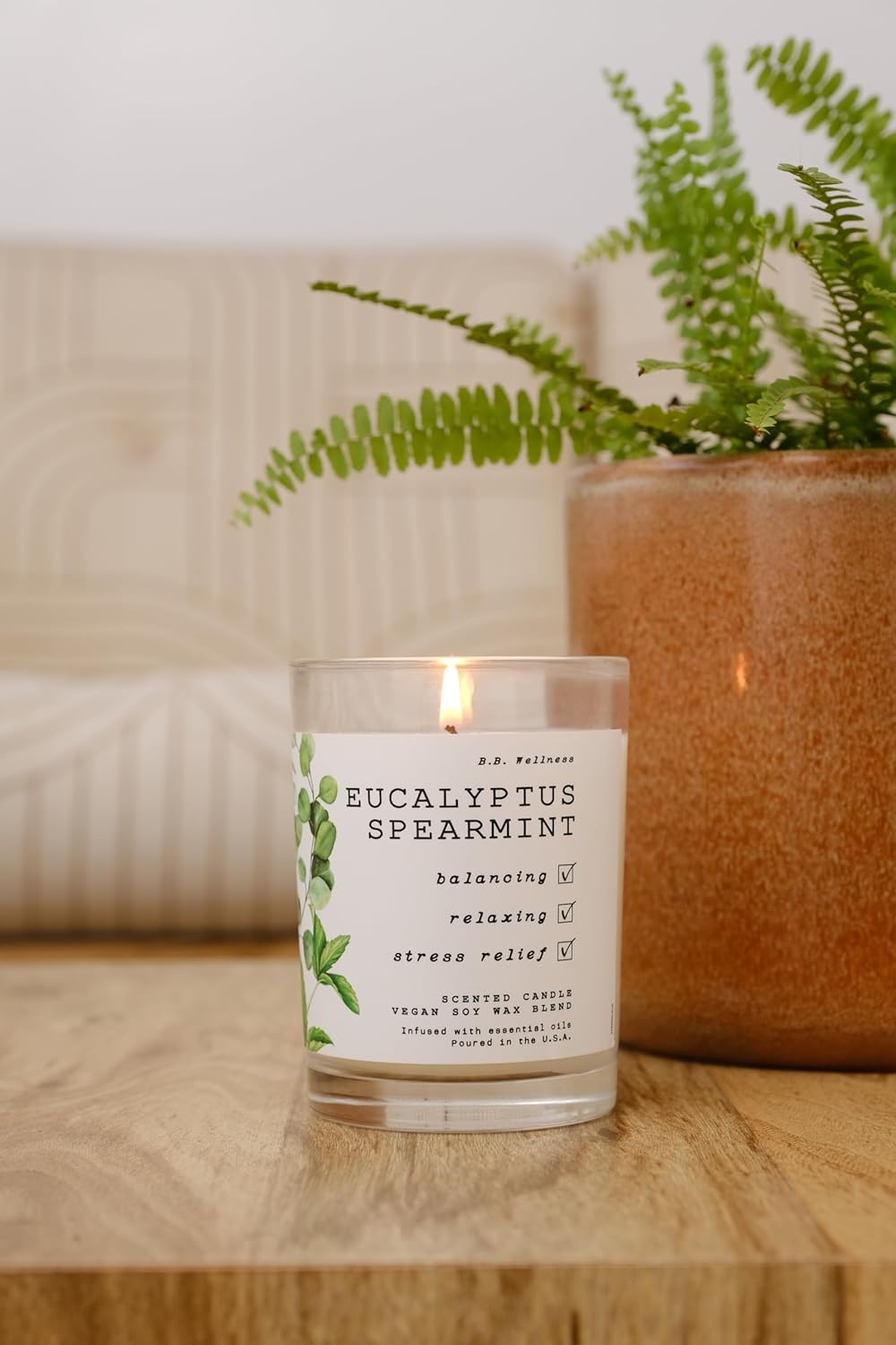 Leoben Co | B.B. Wellness | Hand Poured Soy Wax | Made in Small Batches | 40 Hours | 9 oz | Infused