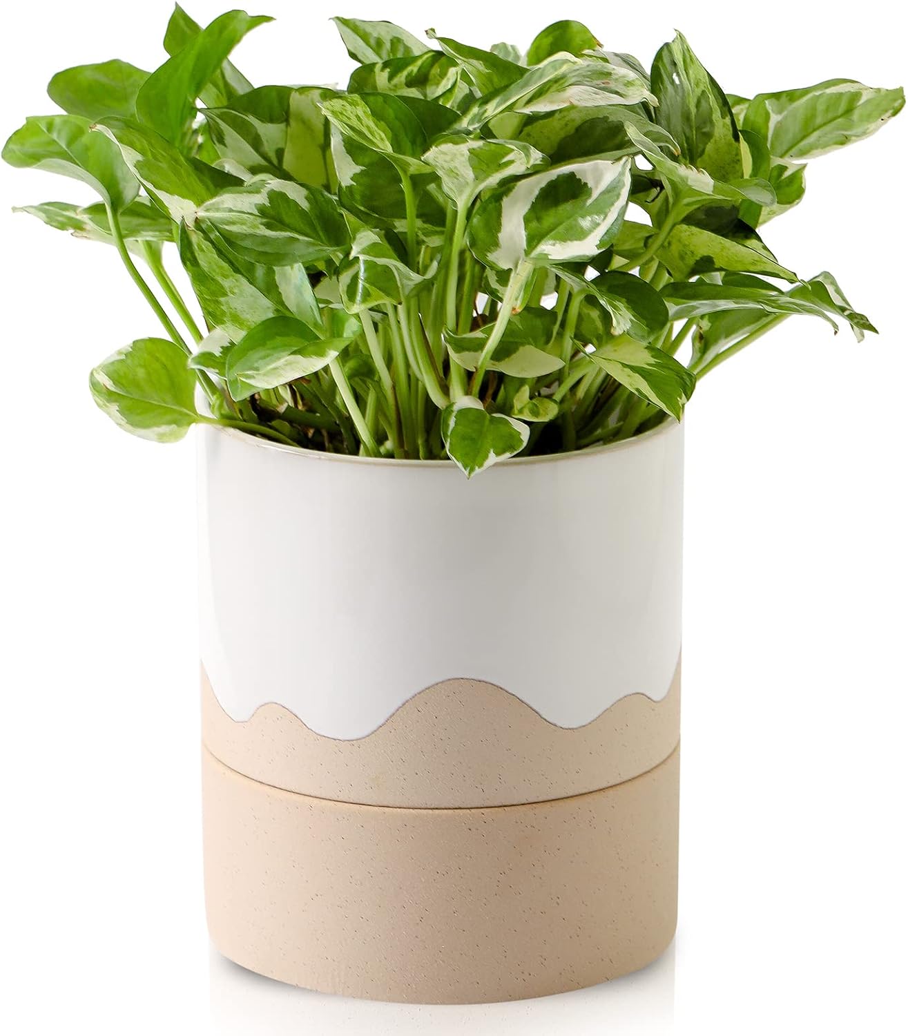 Nihow Self Watering Plant Pot: 6 Inch Ceramic Planter with Drainage Hole & Water Storage Plus for