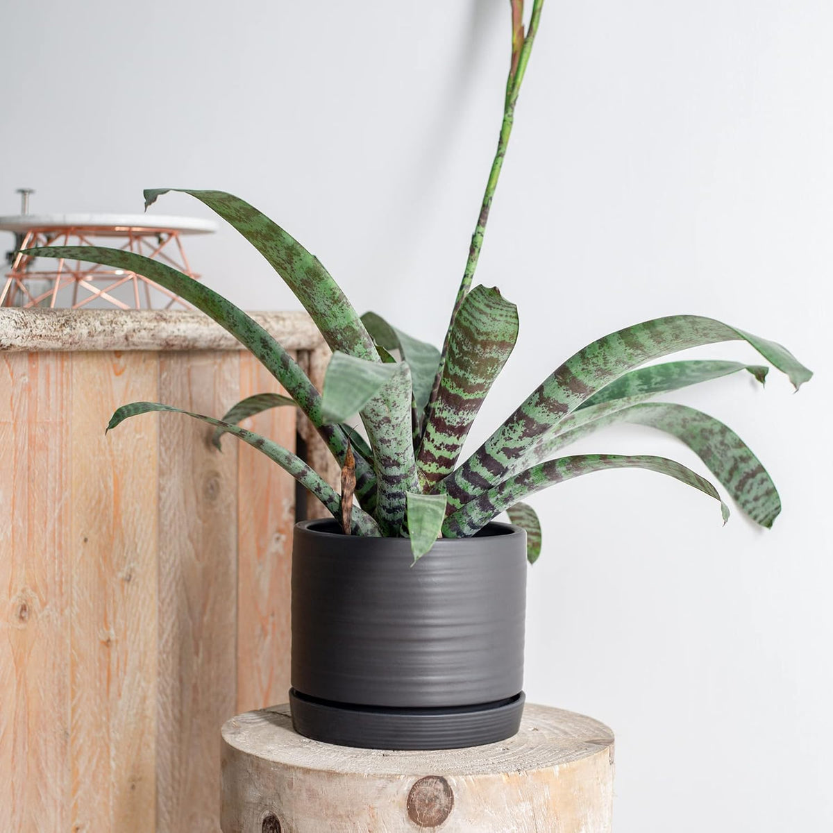 8 Inch Pots for Plants, Ceramic Planter Pot with Drainage Hole & Saucer, Indoor/Outdoor Cylinder