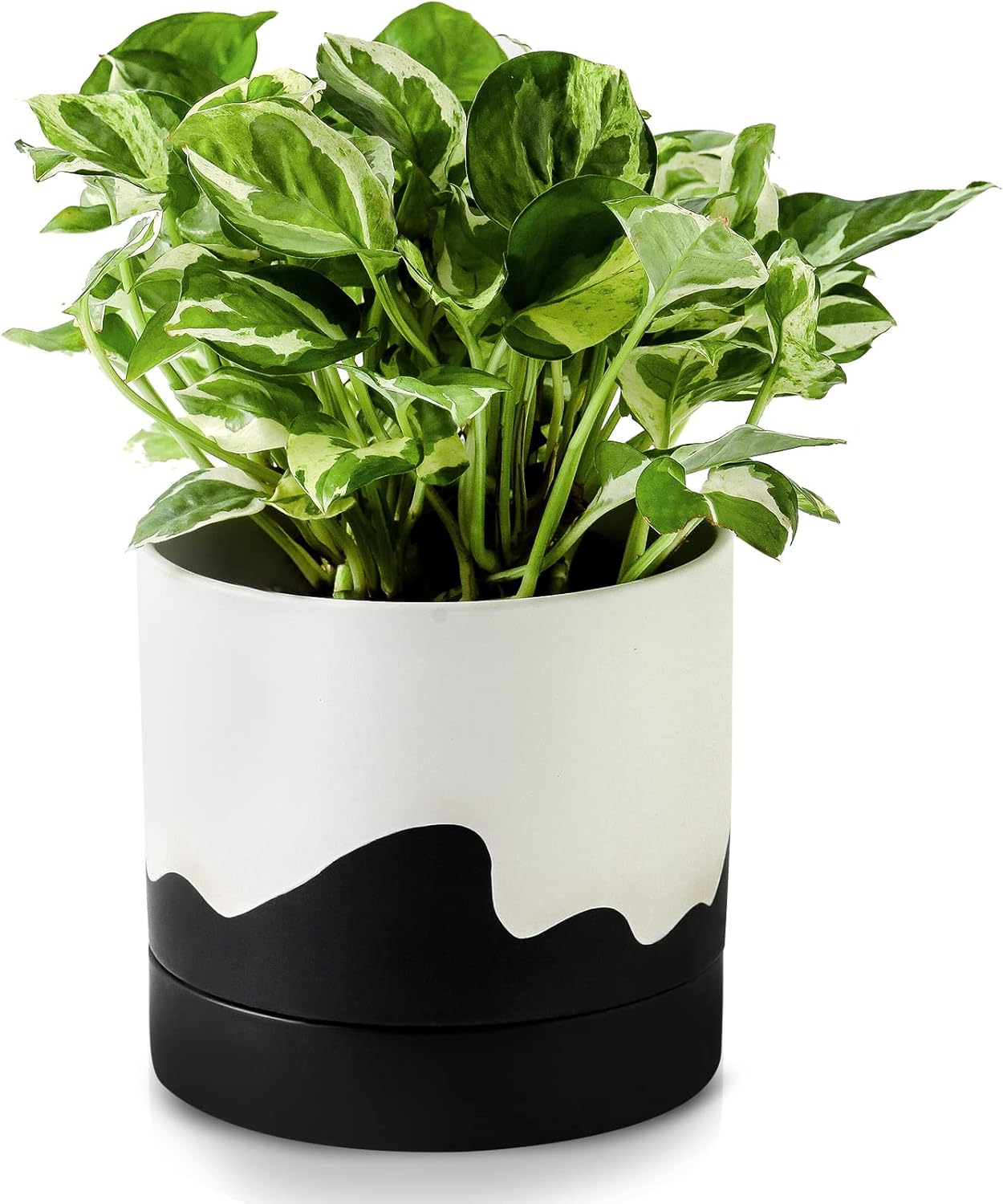 Nihow Ceramic Plant Pot: 6 Inch Planter with Drainage Hole & Saucer for Indoor & Outdoor Plants