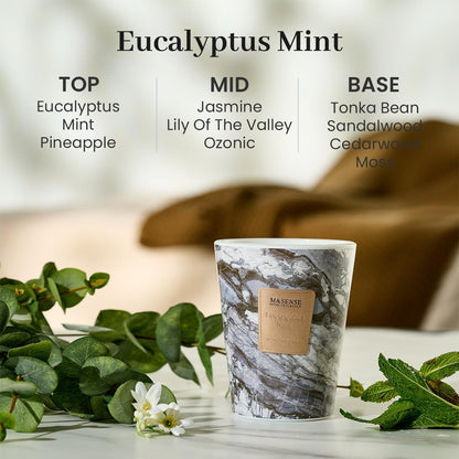 M&SENSE EucalyptusMint Scented Candles for Home, Lead-Free Wick Highly Scented Jar Candles, 14.1 Oz