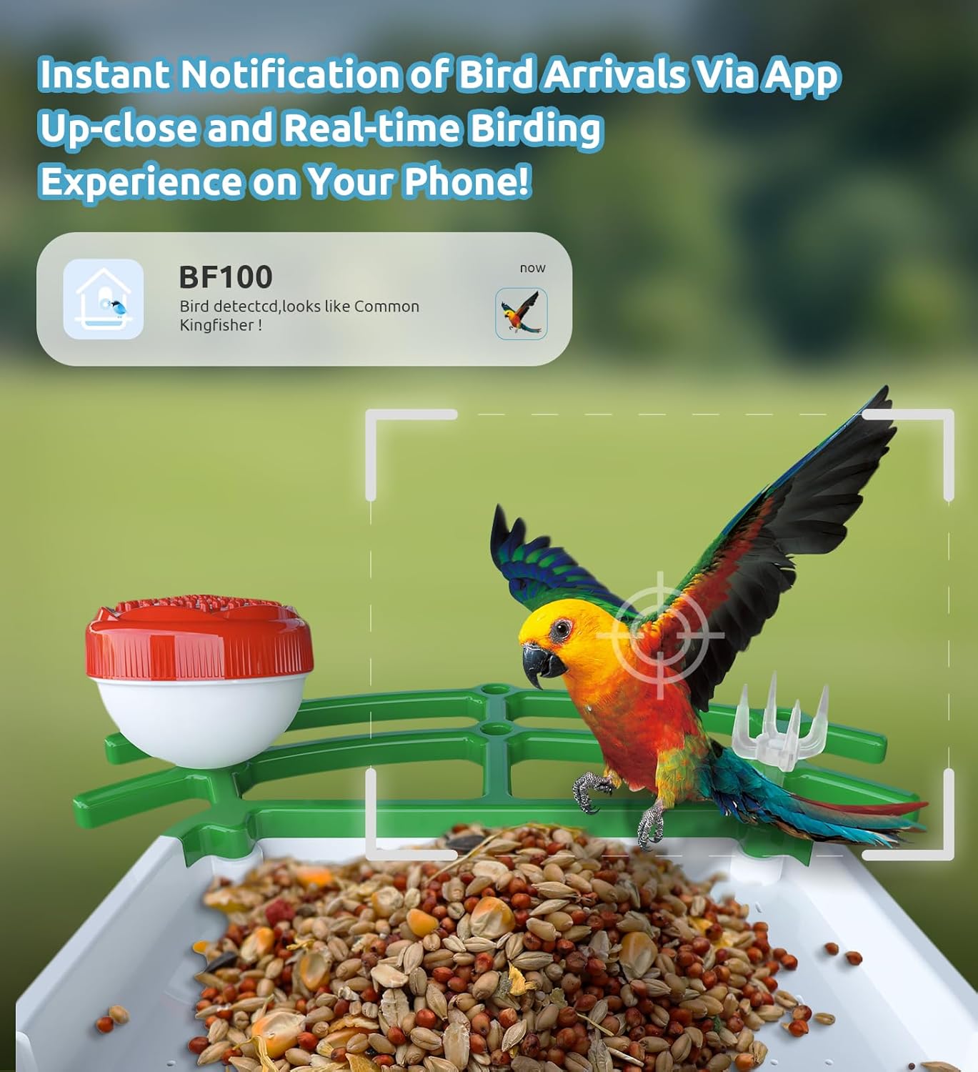 Bird Feeder with Camera, 2K HD AI Smart Identify BirdSpecies Video Camera with Solar Panel Outdoors