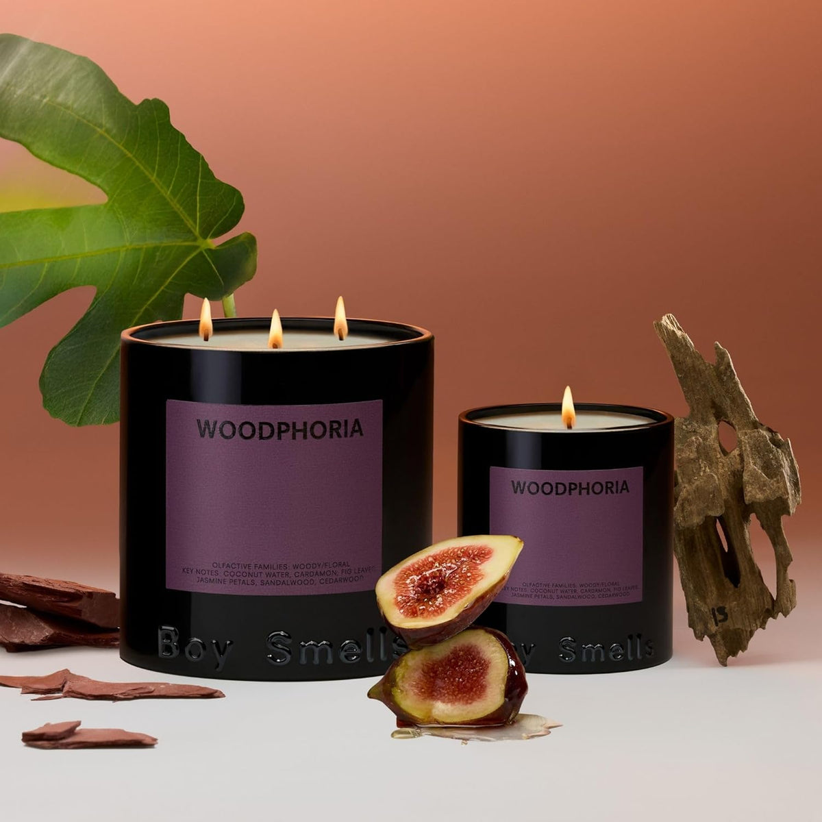 Boy Smells - Woodphoria Scented Candles for Men and Women - 8.5 oz - Soy, Coconut Wax Candle Blend