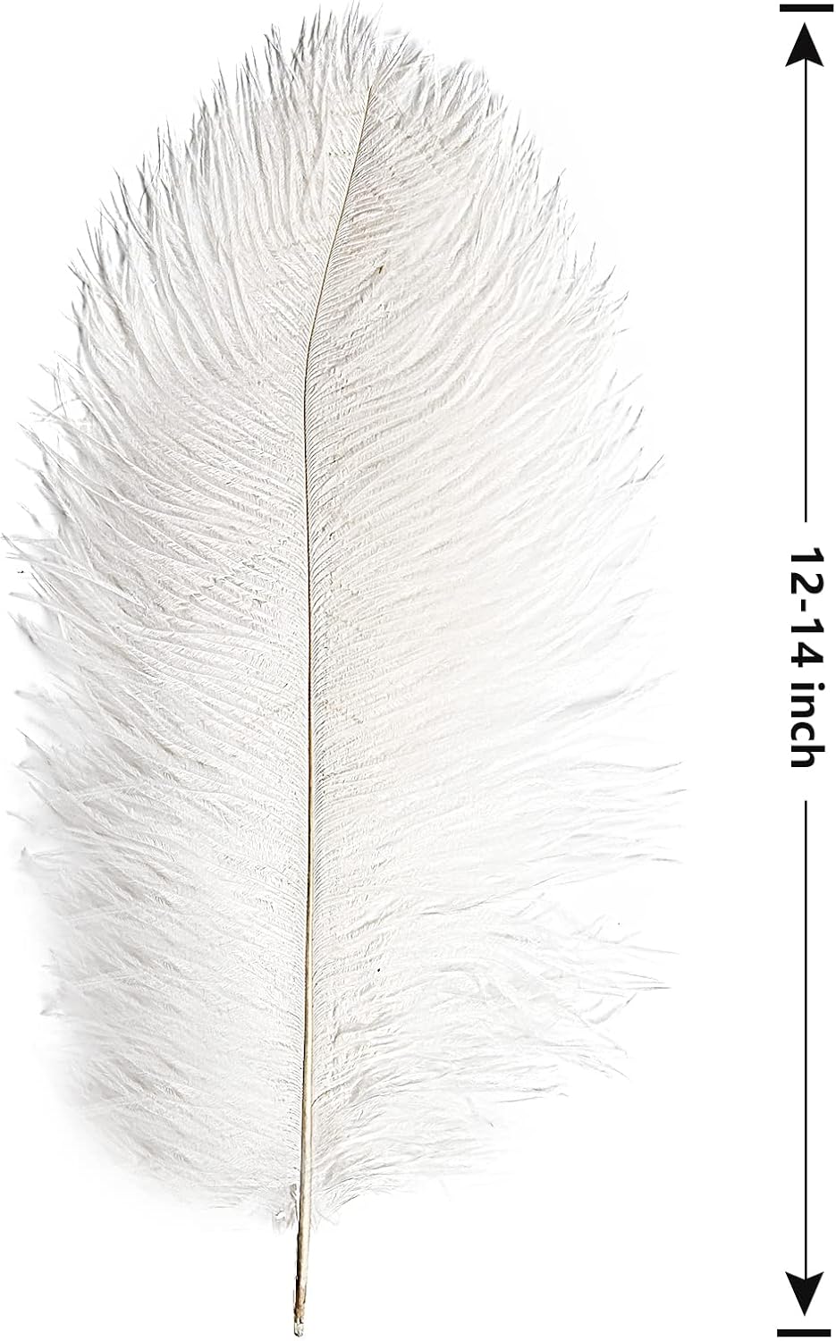 THARAHT 12pcs White Ostrich Feathers Natural Bulk 12-14Inch 30cm-35cm for Wedding Party