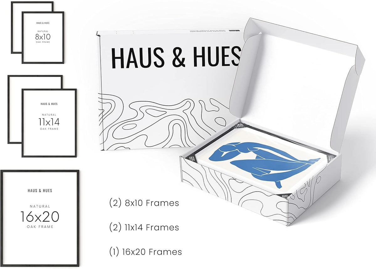 HAUS AND HUES Photo Gallery Wall Frame Set - Set of 5 Black Frames for Gallery Wall, Gallery Wall