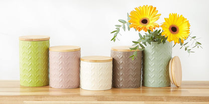 DII Kitchen Accessories Collection, Textured Matte Ceramic Canister Set, Antique White, Vine, 3