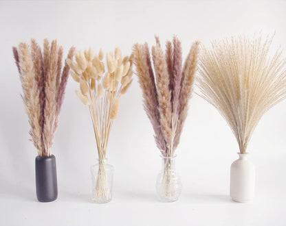 Natural Dried Pampas Grass Decor, Brown Pampas Grass， Bunny Tails Dried Flowers, Reed Grass Bouquet