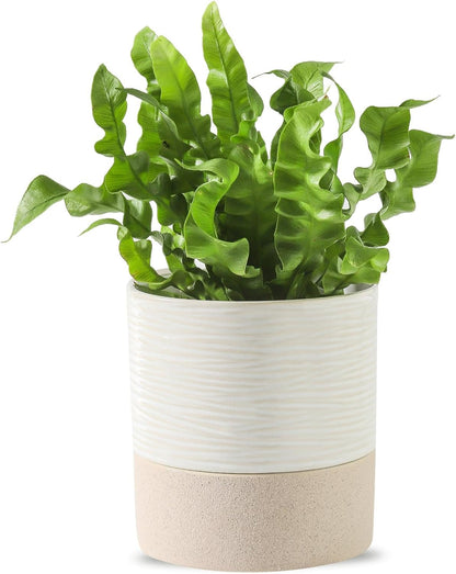Nihow Self Watering Plant Pot: 4.5 Inch Ceramic Planter with Drainage Hole & Water Storage Plus for