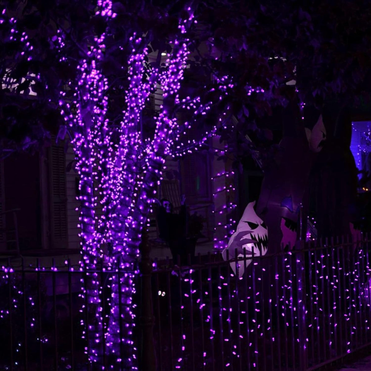 Dazzle Bright 2 Pack Halloween Fairy String Lights, Total 80FT 240 LED Solar Powered Fairy Lights