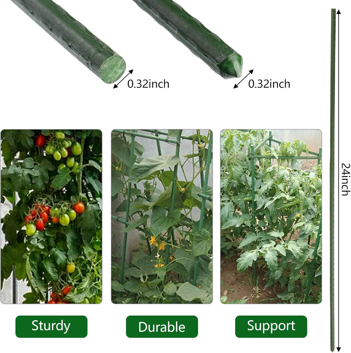 Garden Plant Stakes 24 Inch 2Ft Steel Plant Stick Support, 25 Pack Tomato Stakes for Growing