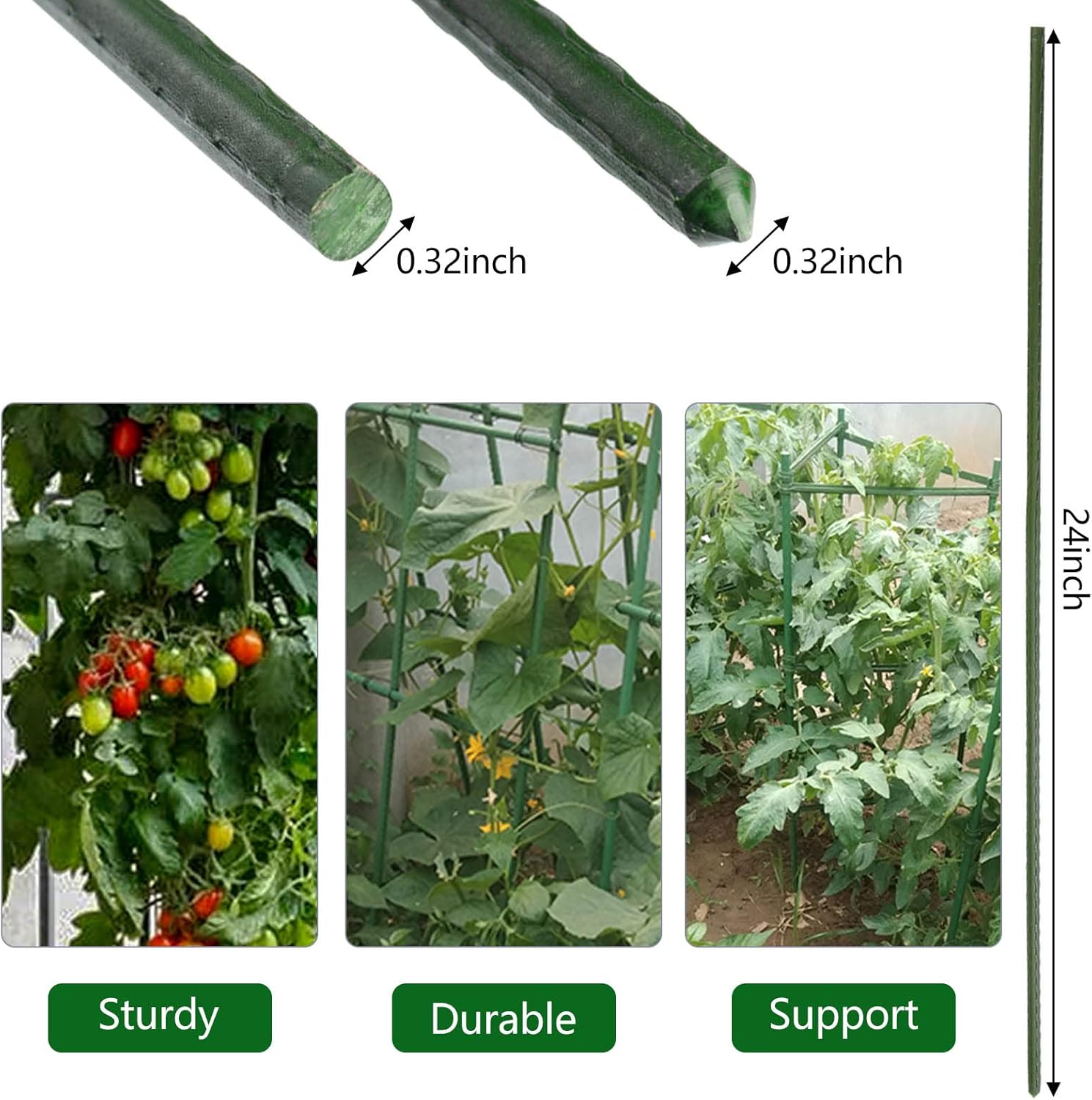 Garden Plant Stakes 24 Inch 2Ft Steel Plant Stick Support, 25 Pack Tomato Stakes for Growing