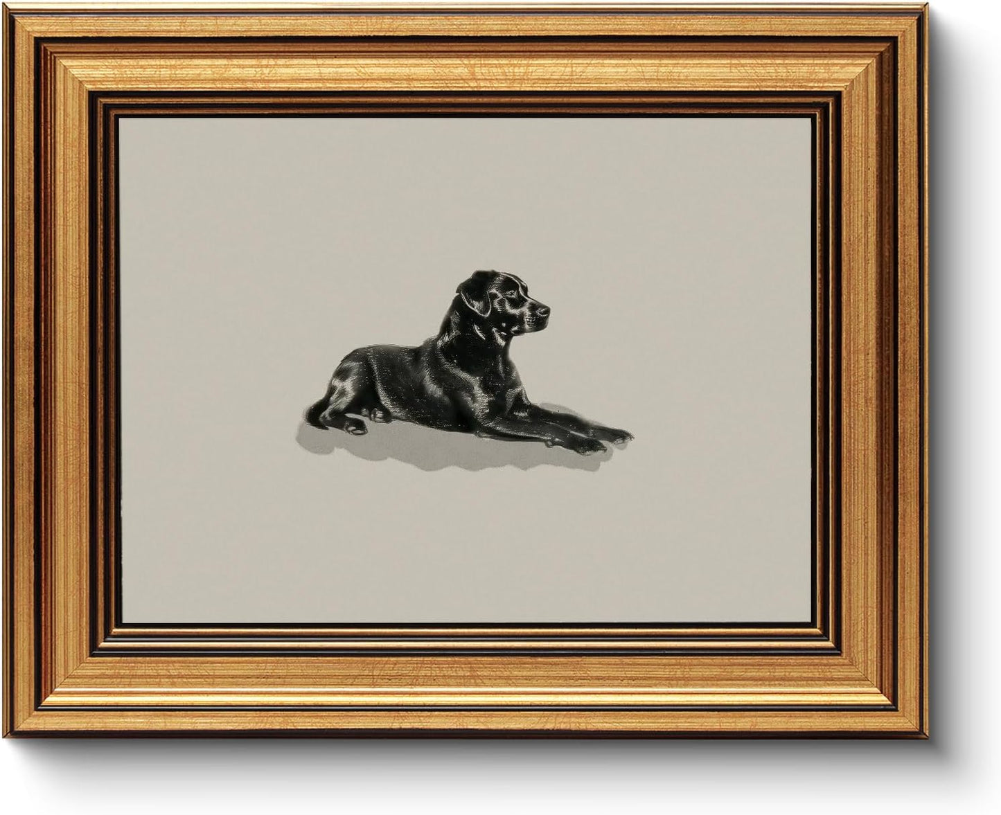 HUARCEY Gold Framed Vintage Wall Art Black Dog Wall Decor Minimalist Animal Art Pictures Room Decor