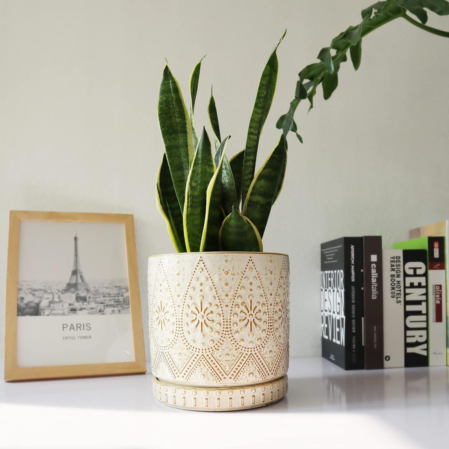 8 Inch Indoor Plant Pot with Drainage Holes and Saucers, Ceramic Planter for Plants, Succulent