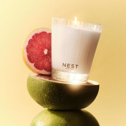 NEST New York Scented Classic Candle, Grapefruit - 8.1 oz - Up to 60-Hour Burn Time - Reusable