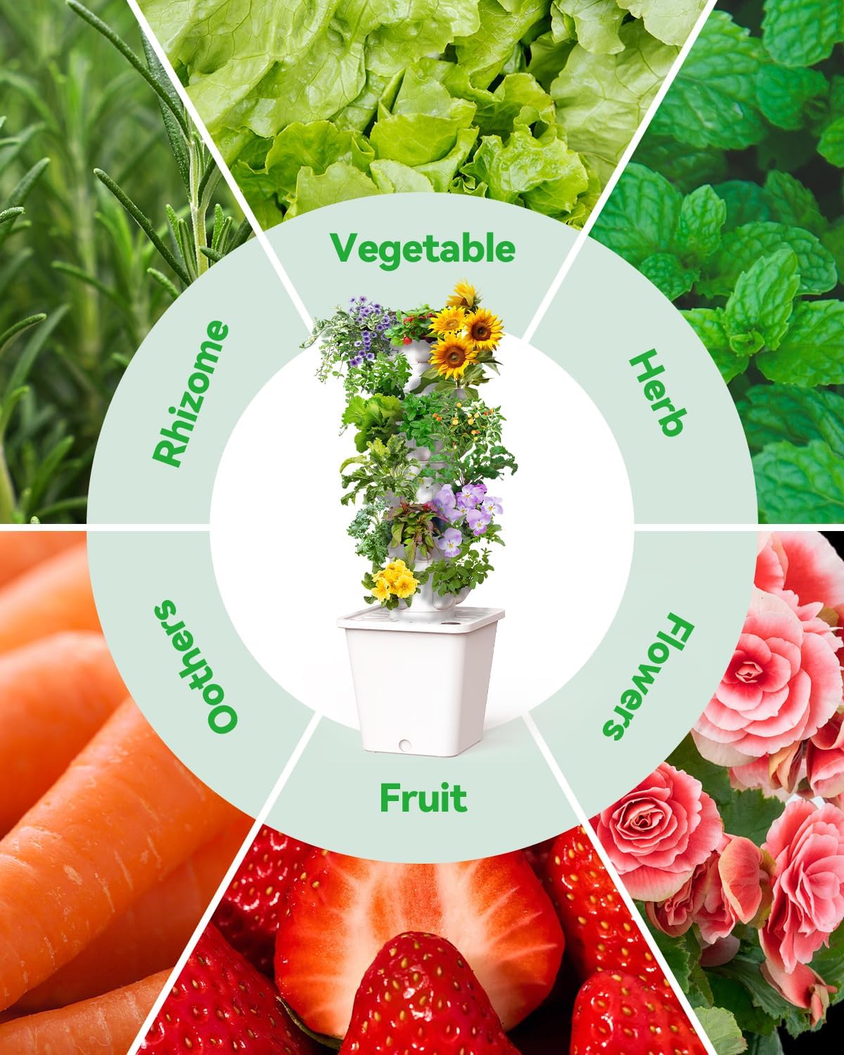 Vertical Hydroponics Growing System Kit, Indoor Outdoor Gardening System Kits, Herb & Fruits