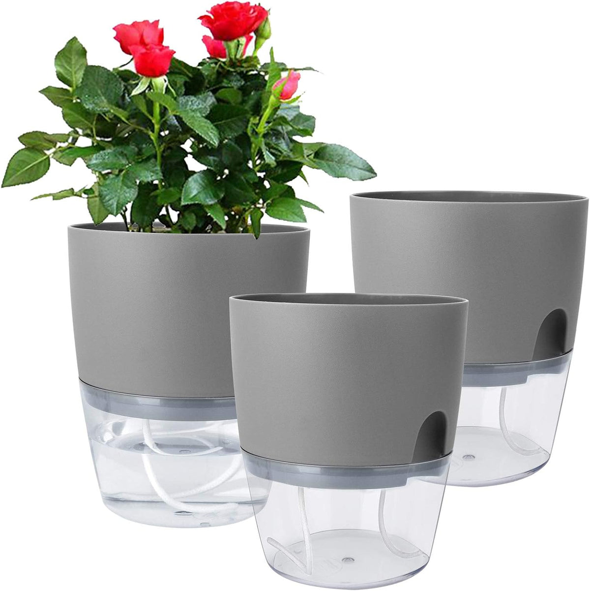 Vanavazon 6 Inch Self Watering Planter Pots for Indoor Plants, 3 Pack African Violet Pots with Wick