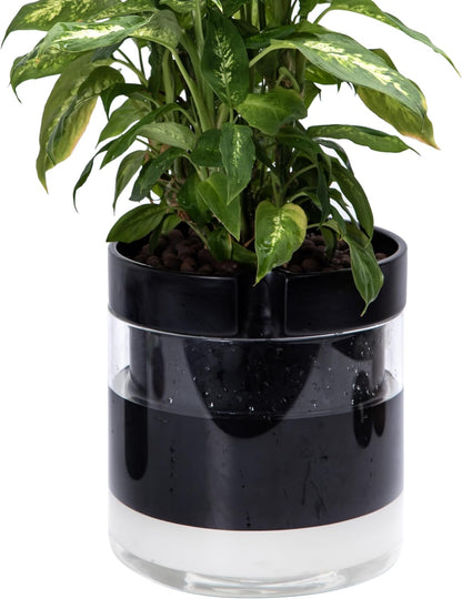 Phoenix Vine 10 Inch Self Watering Terracotta Planter, Black Terracotta Clay Pot with Glass