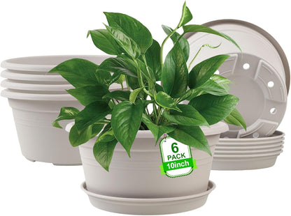 6 Pack 10 inch Plant Pot, Outdoor Pots for Plants with Drainage Hole & Tray Saucer, Round Plastic