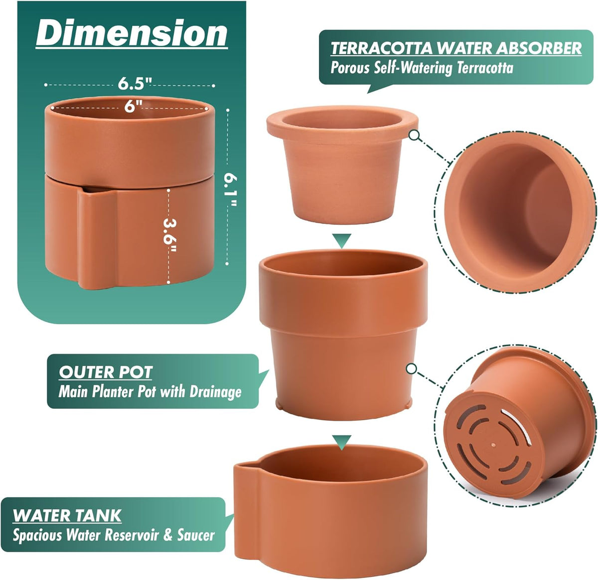Phoenix Vine 6.5 Inch Self-Watering Planter Pot with Terracotta Insert, Deep Water Reservoir, and