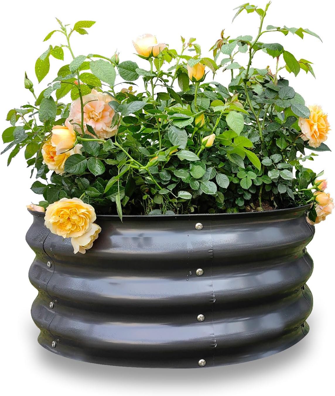 GARDMAX 2x2x1FT Galvanized Round Raised Garden Bed Kit, Metal Planter Boxes Outdoor with Easy