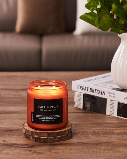 M&SENSE Baltic Amber Scented Candle, 11.6oz Clean Natural Soy Wax Non Toxic Up to 70 Hours Burn