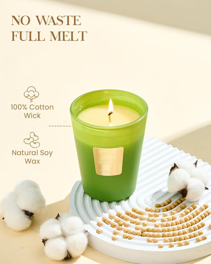 M&SENSE Rosemary Eucalyptus Scented Candle Home Decor, Natural Soy Wax,4.1oz 60 Hours Long Lasting
