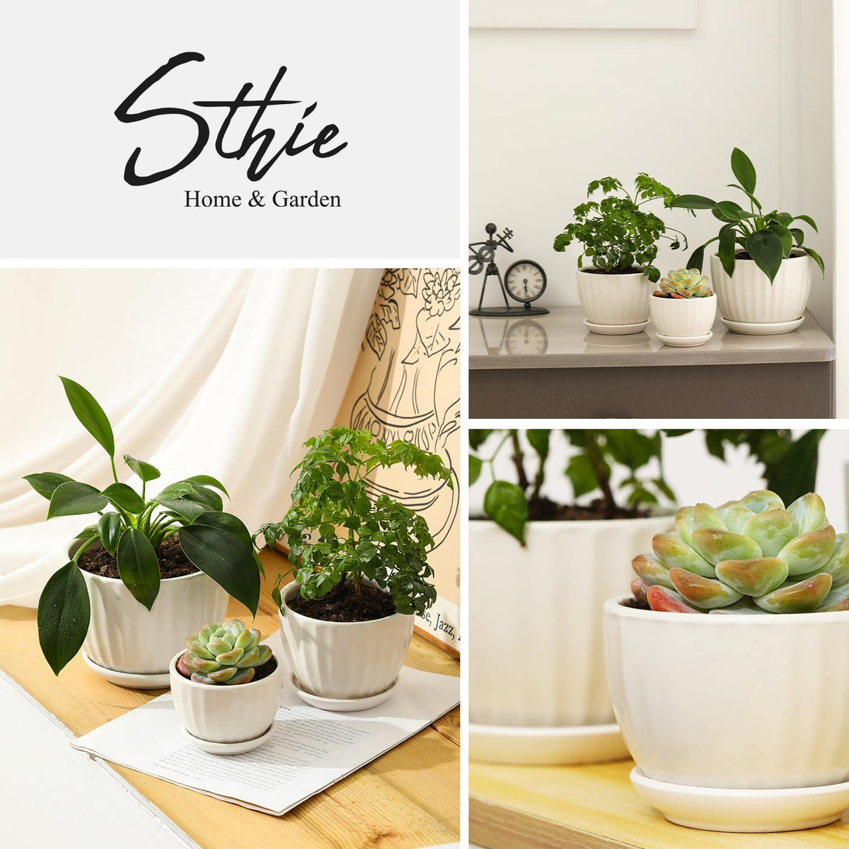 Ceramic Plant Pots with Drainage Holes and Saucers, Round White Flower Pots for Indoor Plant