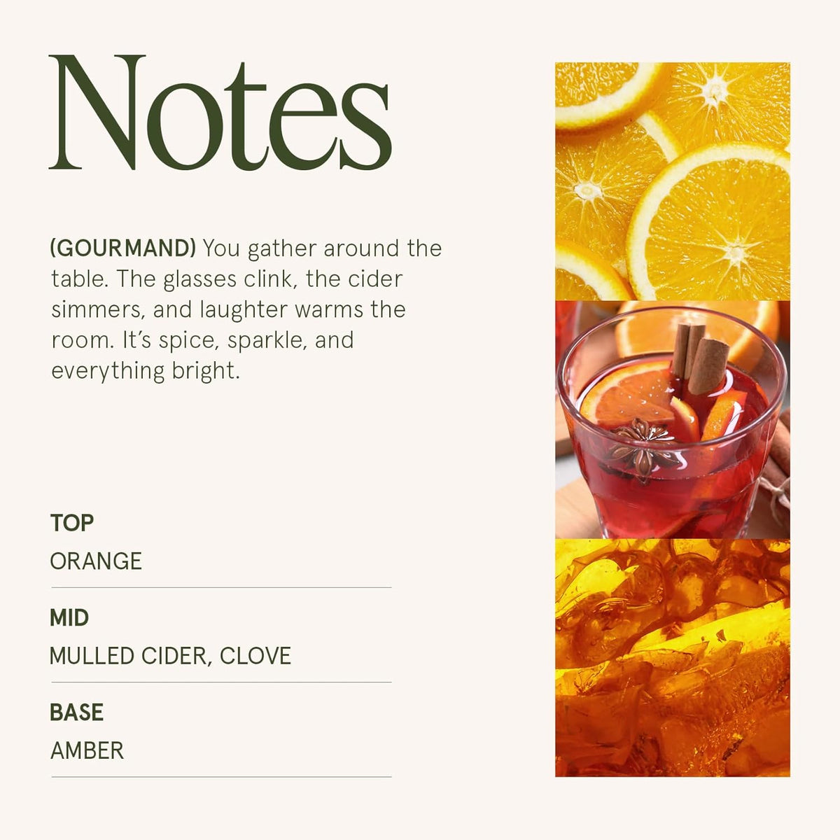 LA JOLIE MUSE Fall Candle | Sparkling Cider Mule Candle – Apple Cider, Orange & Amber | 19 oz