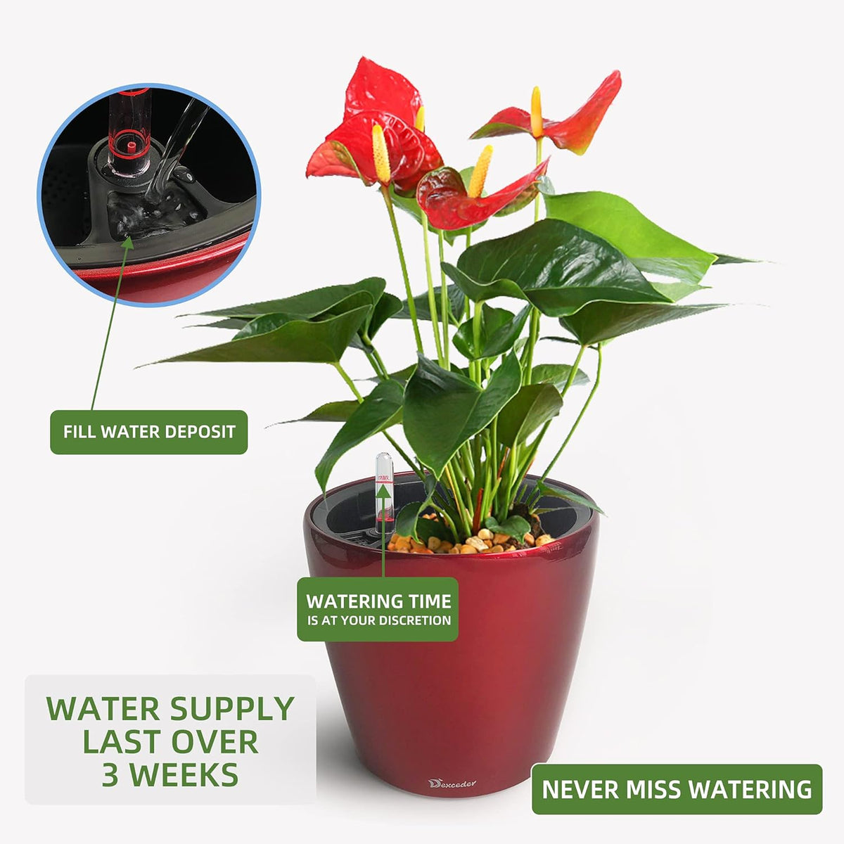 Dexceder 9x8 Inches High Gloss Self Watering Planter Indoor Outdoor, Inner Pot Design, Thickened