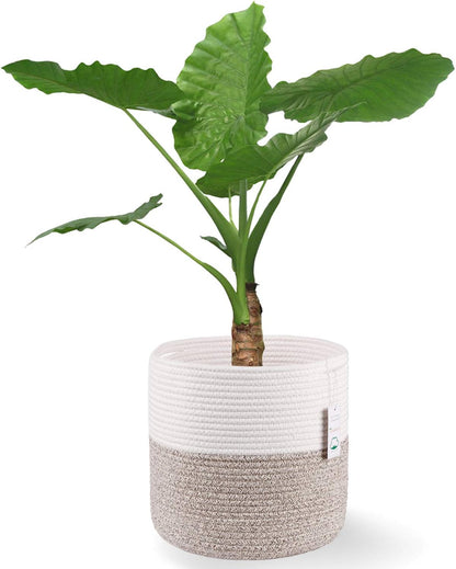 Woven Cotton Rope Plant Basket for 11 inch Flower Pot Floor Indoor Planters,Decorative Small Basket