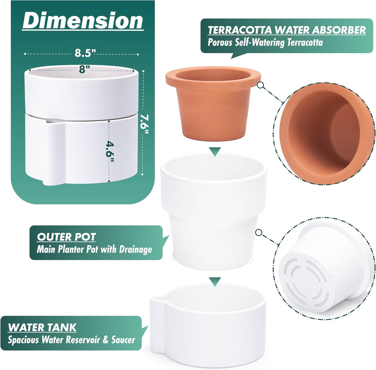 Phoenix Vine 8 Inch Self-Watering Planter Pot with Terracotta Insert, Deep Water Reservoir, and