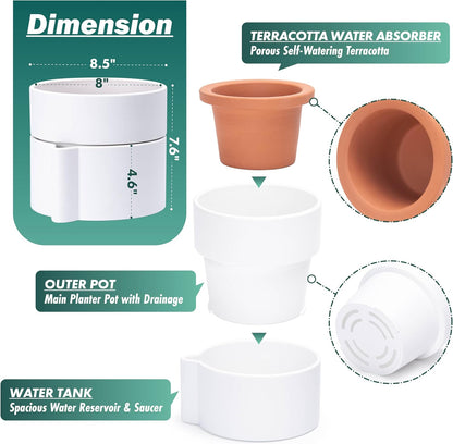 Phoenix Vine 8 Inch Self-Watering Planter Pot with Terracotta Insert, Deep Water Reservoir, and