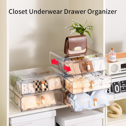 Underwear Drawer Organizer, Stackable Bra Organizer for Closet, 1 Cell Bra Storage, Sock and