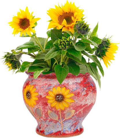 Sungmor Ceramic Hand Painted Succulent Flower Pots, 9 Inch Large Pottery Pots for Indoor Outdoor