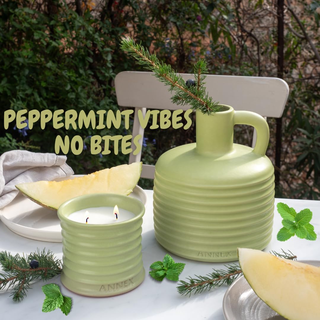 Scented Luxury Candles Outdoor Mosquito Bug Repellent Ceramic Jars, Soy Wax | The Green Life, Large