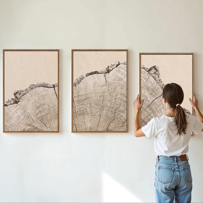 SIGNINART Large Tree Ring Framed Canvas Wall Art Set, Rustic Beige Wooden Wall Decor, Neutral