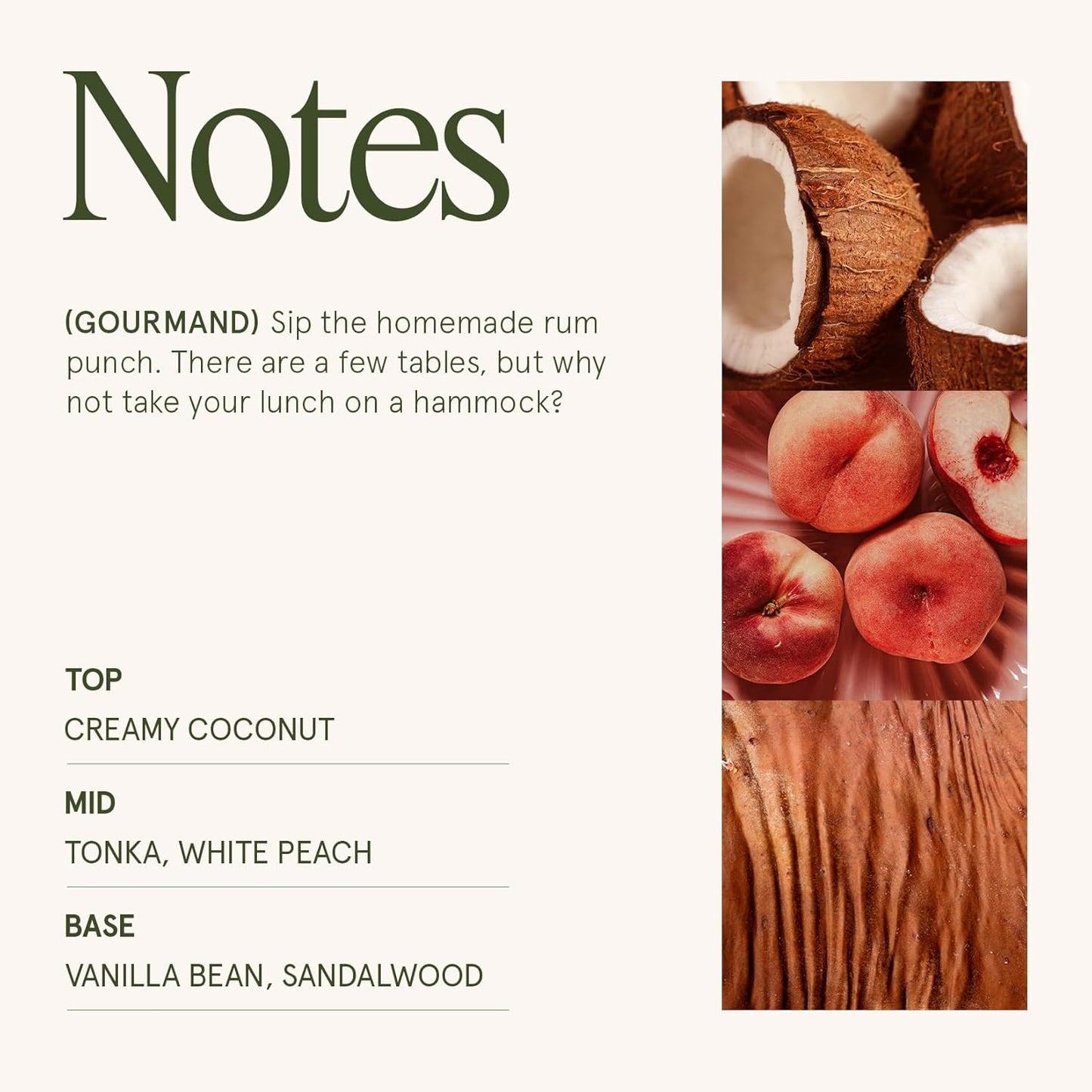 LA JOLIE MUSE Vanilla Coconut Candle – Coconut, Freesia & Vanilla | 19 oz Large Wooden Wick Candle